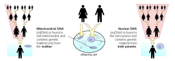 mtvsnudna