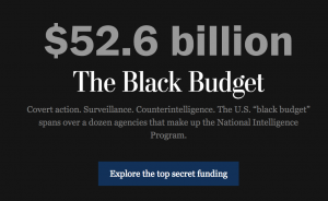 2013 Black Budget