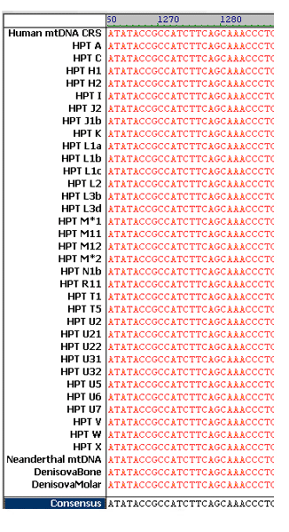 dnahaplochart