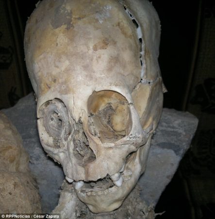 Giant skull found in Peru