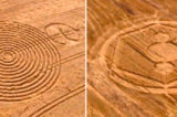 Two Crop Circles Crop Up On The Same Day In Brazil