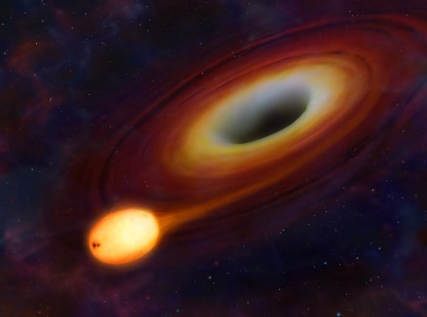 black-hole-star-accretion