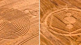 Two Crop Circles Crop Up On The Same Day In Brazil