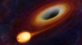 Black Holes and Wormholes